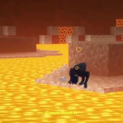 Monke