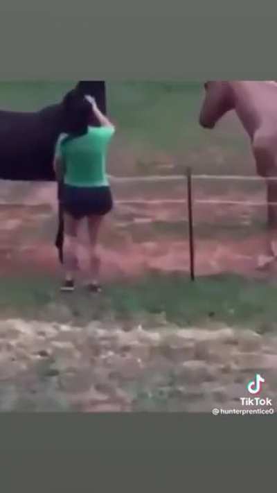 Wannabe horse girl