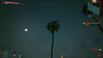 The palm trees are sentient and they seek vengeance