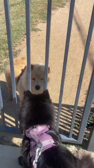 Play time