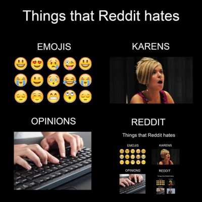 Things that Reddit hates