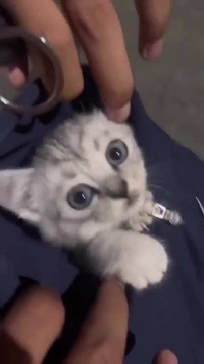 you love this ?