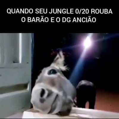 JUNGLE :D