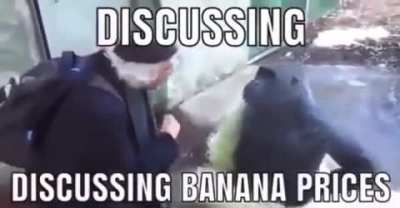 Discussing Banana Prices