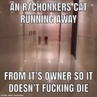 RUN