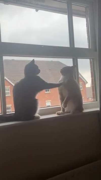 Lazy Slaps