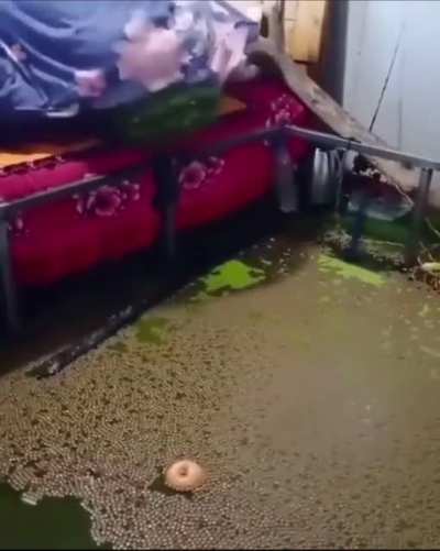 “My room is a mess, I hope you don’t mind”