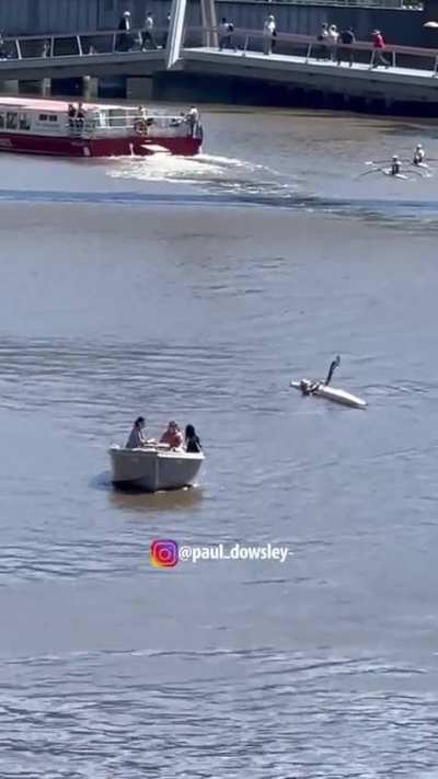 Powered vessels always give way to unpowered vessels, except when you are the main character (Melbourne Australia)