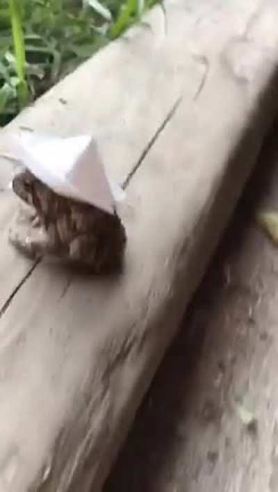 Gave This Handsome Boy a Hat