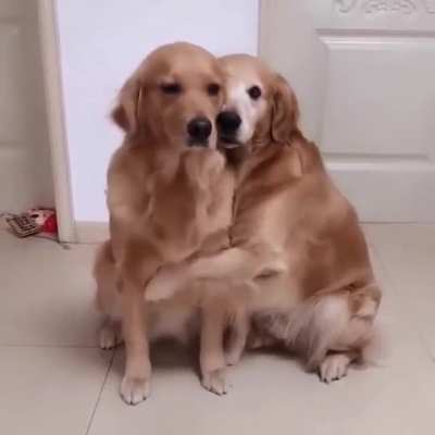 True love