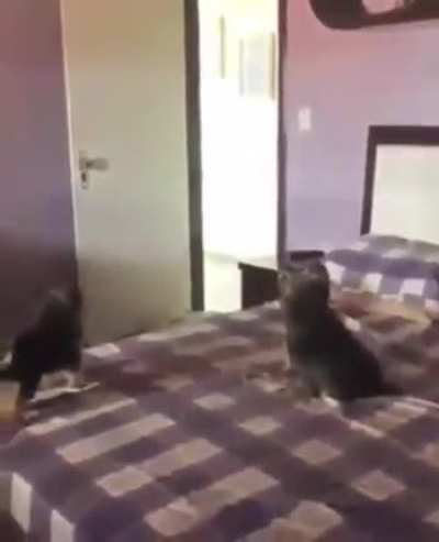 Where did she go?