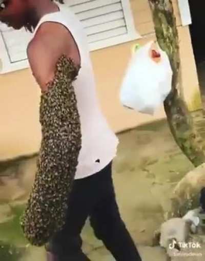 Transferring a beehive from one place to another by taking the queen with you in n your hands