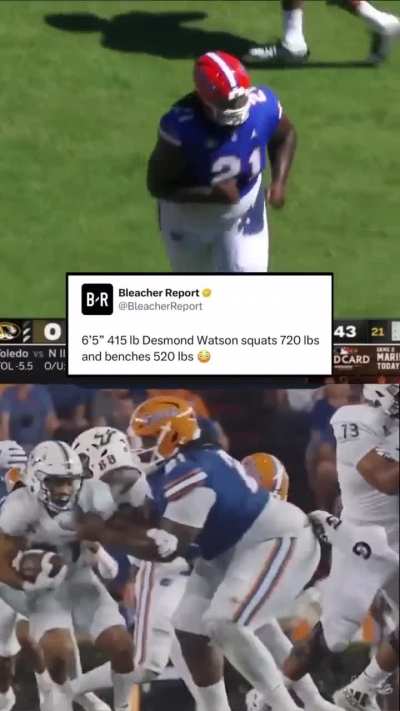 Absolute Unit