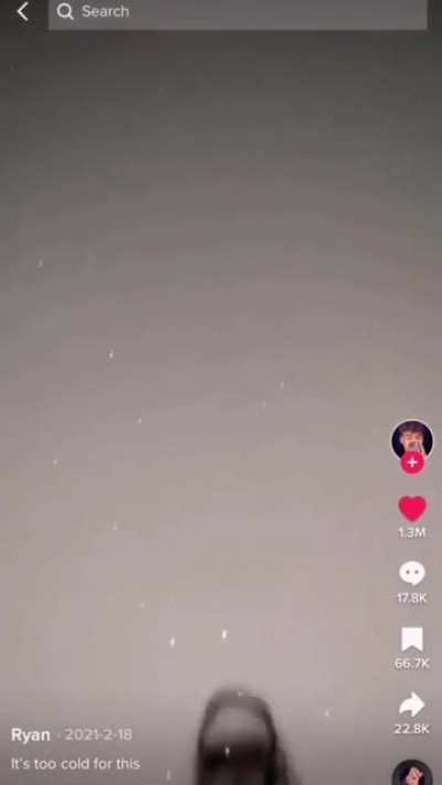 The Journey Of The Shoe
