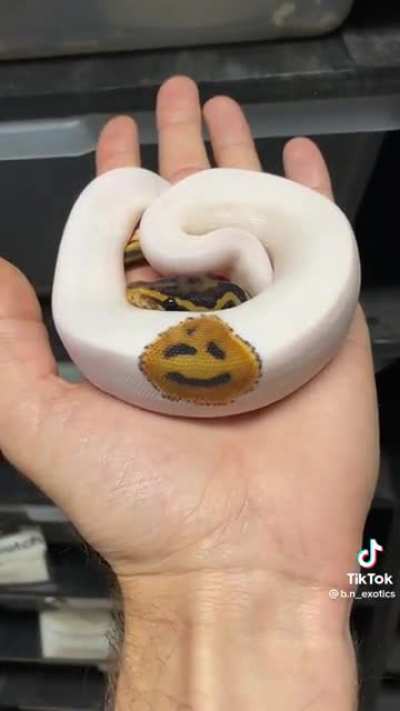 🙂
