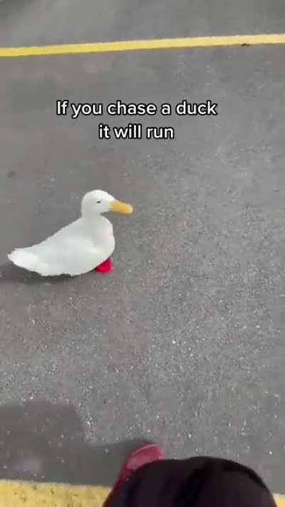 tutorial