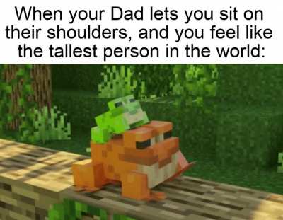 Gaze upon my height