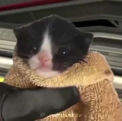El mejor video