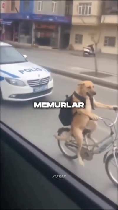 iyideğilim