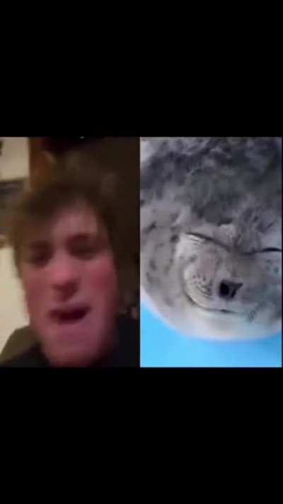 🤪