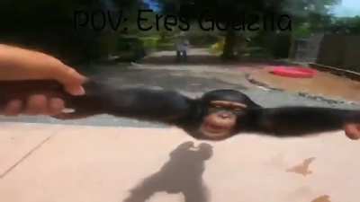 Pov:eres godzila