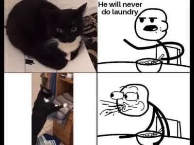 rule