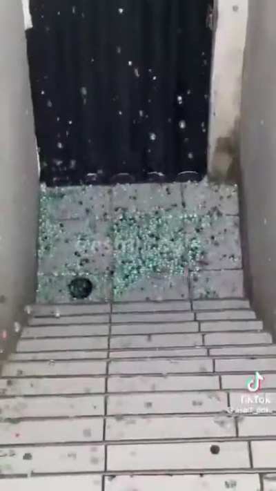HOLY SHIT