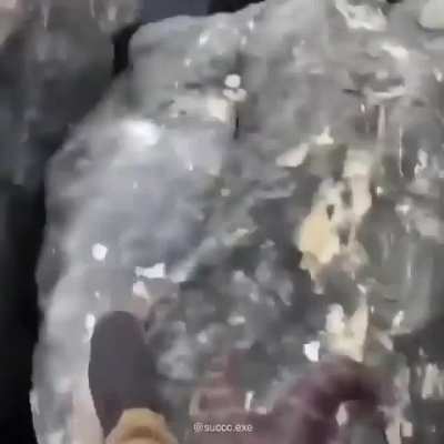 NOOOOOOOOO