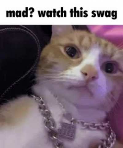 caté make u watch