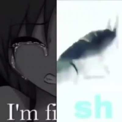 i'm fi sh