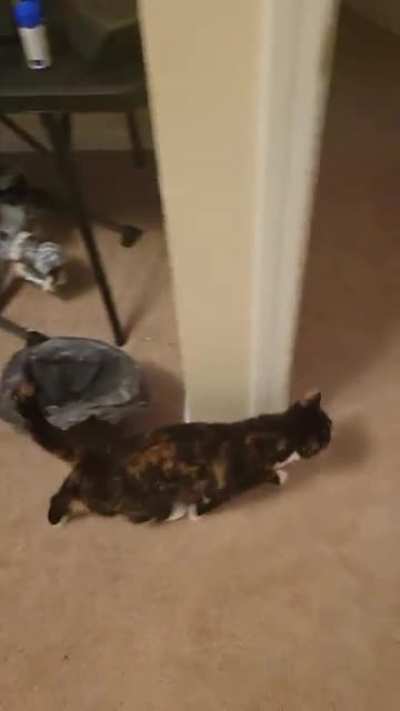 Caught Red Handed!