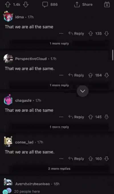 That we are all the same