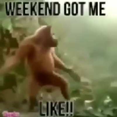 mpnky fridya!!!