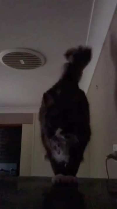 He leap