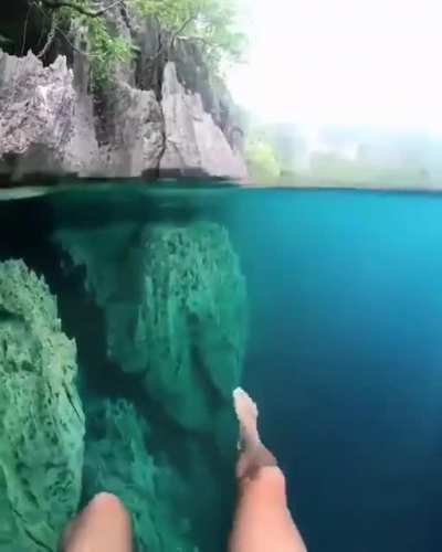 Super fake but god damn it scared the shit out of me