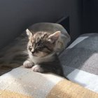 When you talk, then you sleep without feeling :D