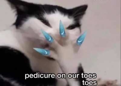 Ke$ha kitty