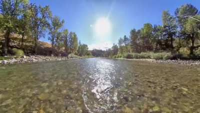 Double the fun: Catching fish on the swing AND getting it all on film. Happy Friday!
