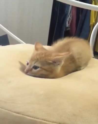 let me just melt into this pillow