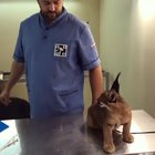 No Touchy
