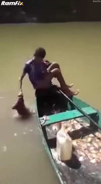 Na hora de pescar piranhas, anzol e vara são completamente dispensáveis quando vc tem um belo bifão