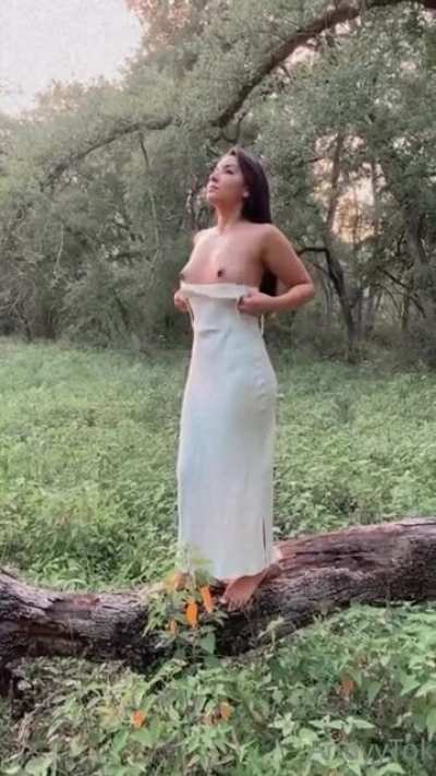 Aportación