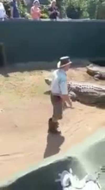 Being bitten by a crocodile. Crocodile Creek, South Africa
