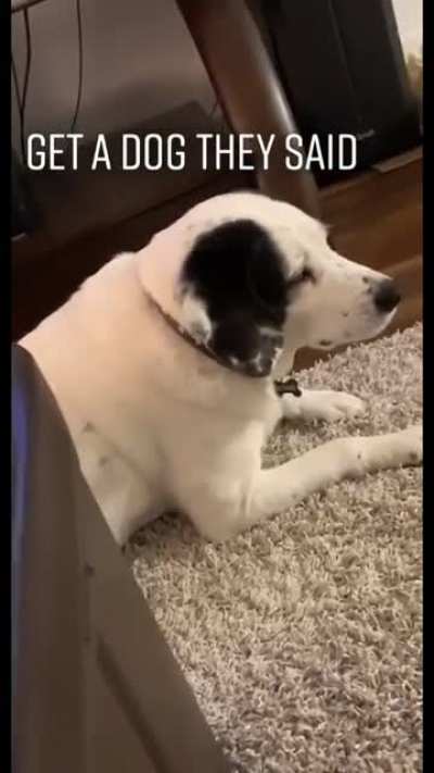 New, you say?