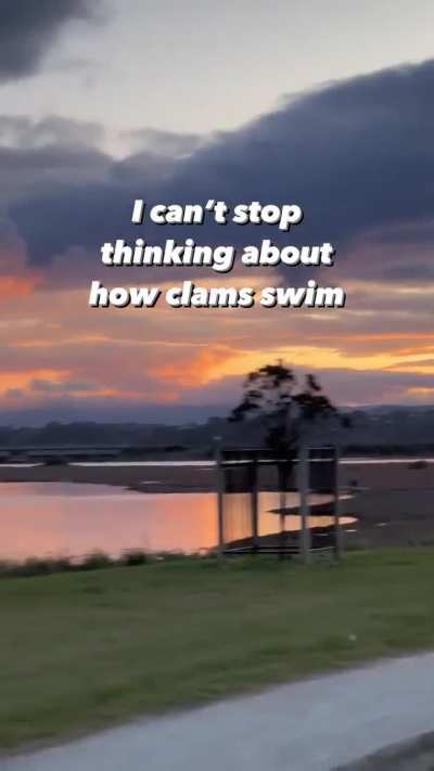 The clam walker