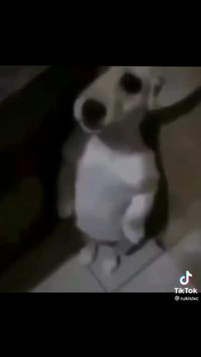 meninin d papai