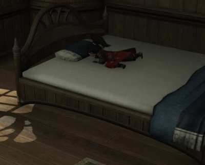 TIL If you Choose the 'Log Out' Option from a Comfy Feather Bed, There is a Custom Animation