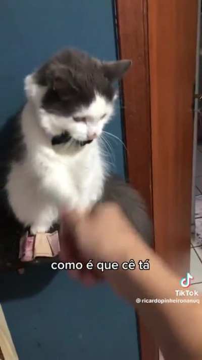 o video ja diz tudo