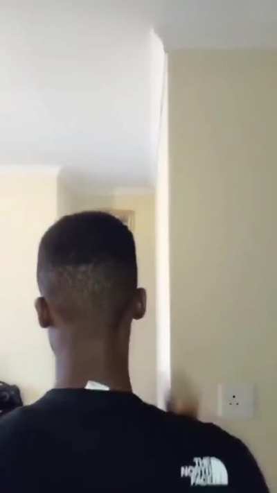cockroach