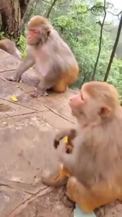 this is mY FOOD